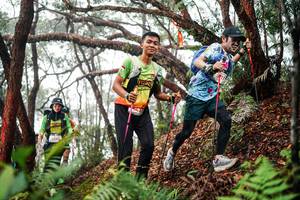 BIB: 
                            <button type="button" onclick="openModal(26298109)" class="btn btn-primary btn-sm float-right btn-popup" data-toggle="modal" data-target=".modal-high-quality">
                        <i class="fas fa-shopping-cart"></i> Add to Cart
                    </button>
                                            <button type="button" onclick="isThisMe(26298109, true)" class="btn btn-success btn-sm float-right btn-popup btn-isme hidden" data-toggle="tooltip" data-placement="bottom" title="นี่คือรูปของคุณใช่ไหม คลิกที่นี่เพื่อเอาเข้าอัลบั้ม">
                        <i class="fas fa-plus"></i> Add to album
                    </button>
                    <button type="button" onclick="isThisMe(26298109, false)" class="btn btn-warning btn-sm float-right btn-popup btn-isnotme hidden">
                        <i class="fas fa-ban"></i> Remove from album
                    </button>